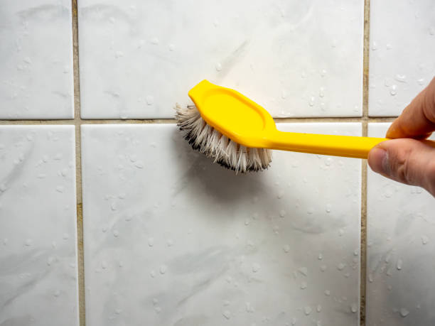 Best Same-Day Mold Removal  in Garden Acres, CA