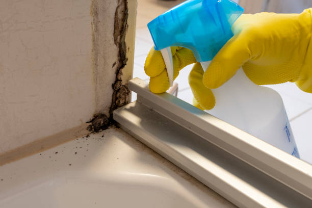 Best Residential Mold Removal  in Garden Acres, CA
