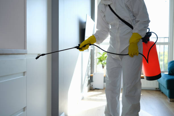Best Mold Testing  in Garden Acres, CA