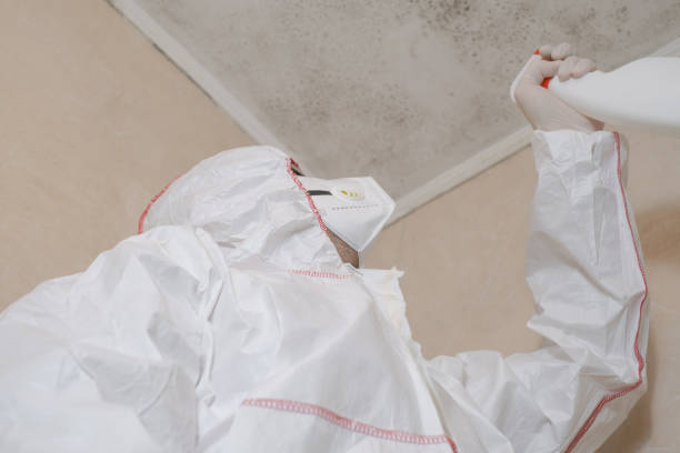 Best Local Mold Removal Service  in Garden Acres, CA